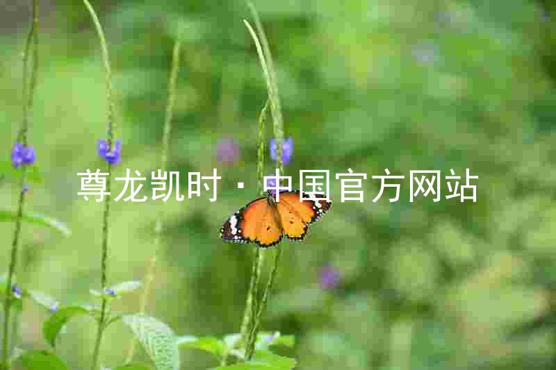 尊龙凯时·中国官方网站