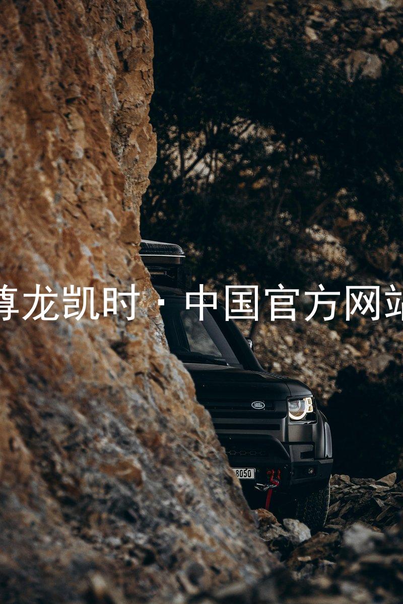 尊龙凯时·中国官方网站