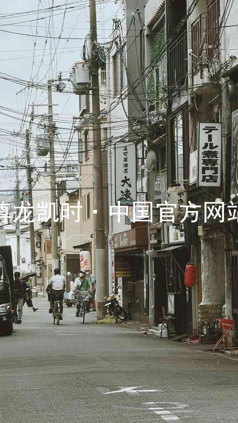 尊龙凯时·中国官方网站
