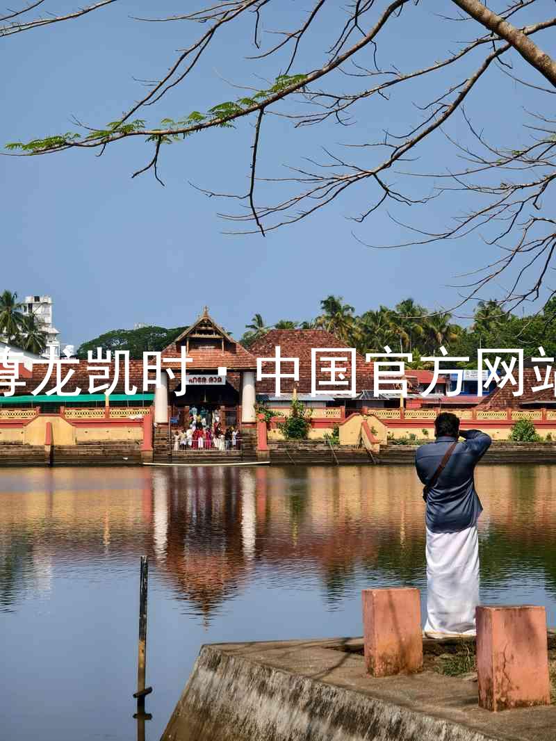 尊龙凯时·中国官方网站
