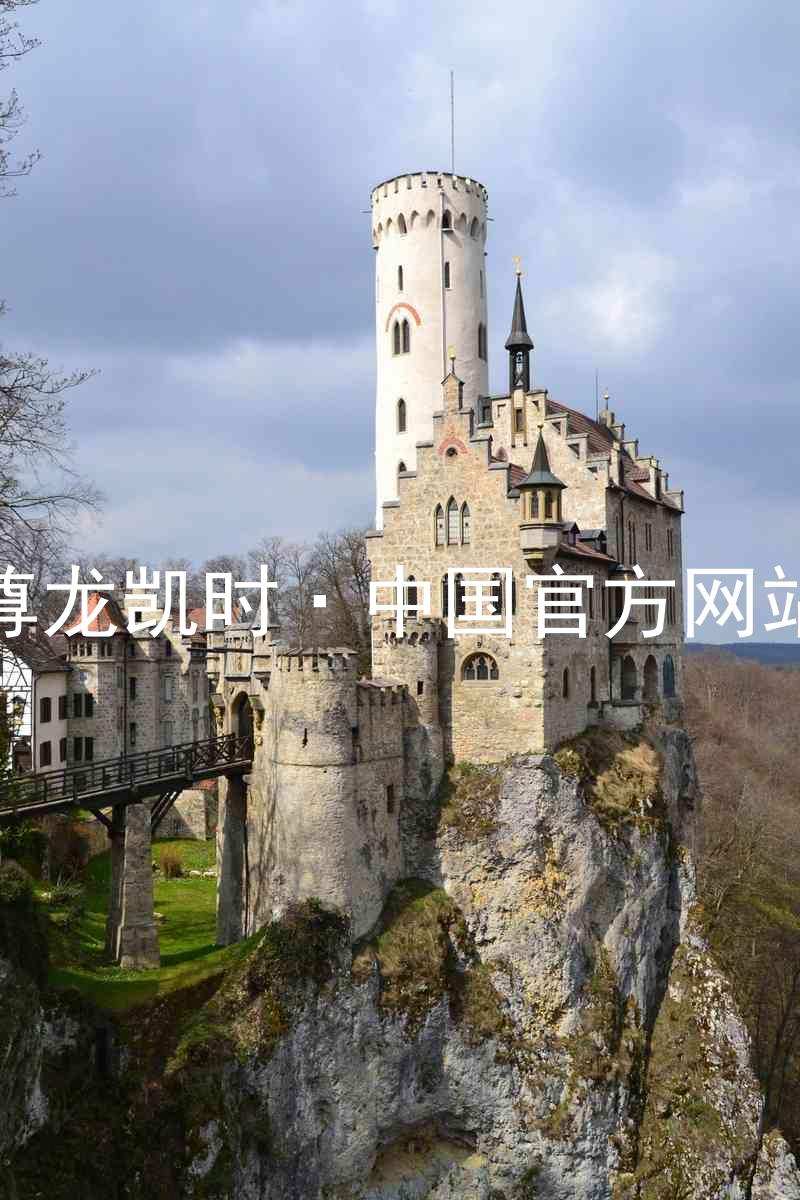 尊龙凯时·中国官方网站
